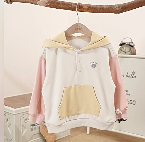 DB3253552 multi color hoodie (SZ 2-6)
